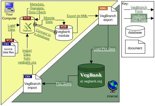 diagram of VegBranch/VegBank relationship